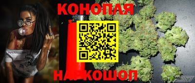 apvp Рузаевка